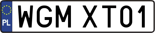 WGMXT01