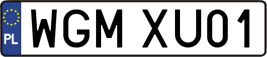 WGMXU01