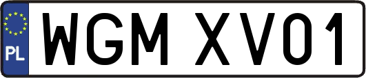 WGMXV01