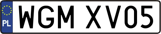 WGMXV05