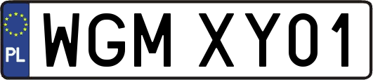 WGMXY01
