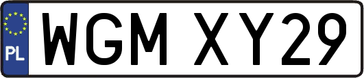 WGMXY29