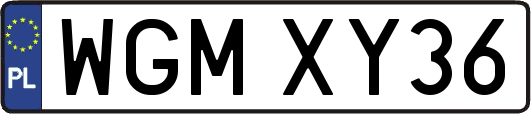 WGMXY36