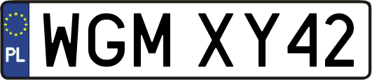 WGMXY42