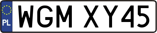 WGMXY45