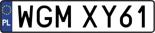 WGMXY61