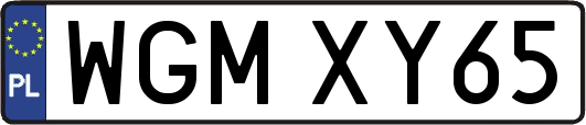WGMXY65