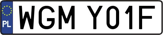WGMY01F