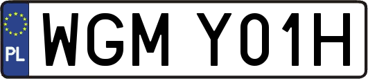 WGMY01H