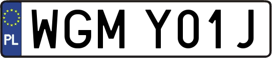 WGMY01J