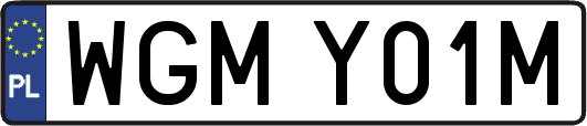WGMY01M