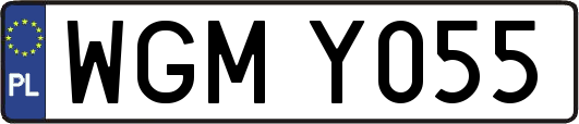 WGMY055