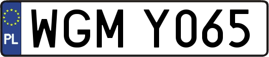 WGMY065