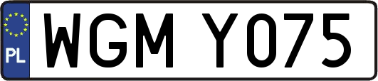 WGMY075