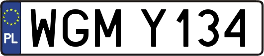 WGMY134