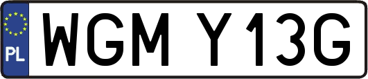 WGMY13G