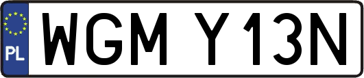 WGMY13N