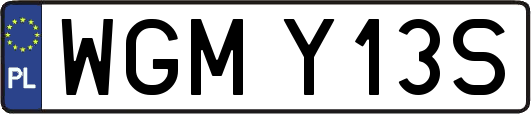 WGMY13S