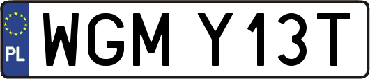 WGMY13T