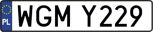 WGMY229