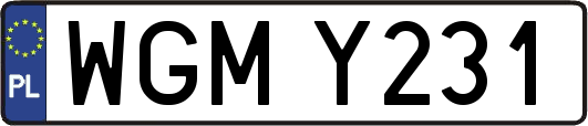 WGMY231