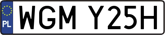 WGMY25H