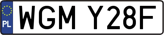 WGMY28F