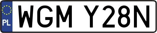 WGMY28N