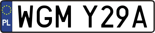 WGMY29A