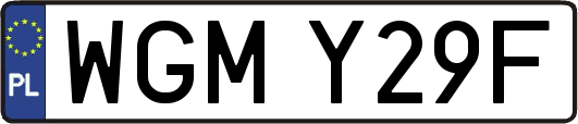 WGMY29F