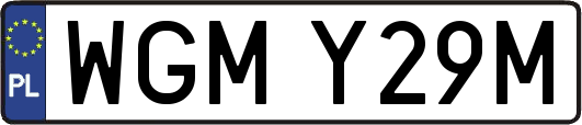 WGMY29M