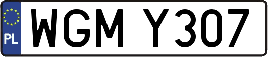 WGMY307