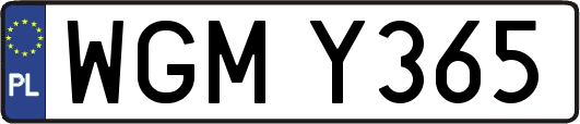 WGMY365