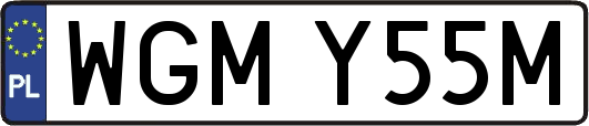WGMY55M