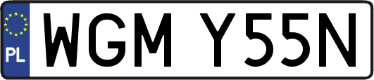 WGMY55N