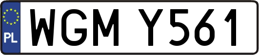 WGMY561