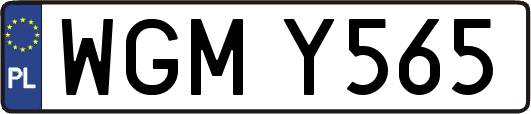 WGMY565