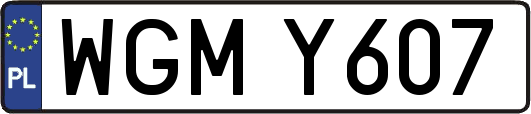 WGMY607