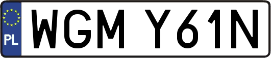WGMY61N