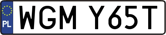 WGMY65T
