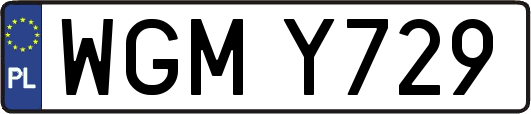 WGMY729