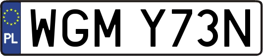 WGMY73N