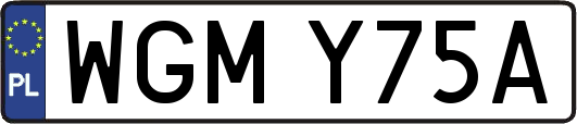 WGMY75A