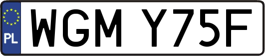WGMY75F