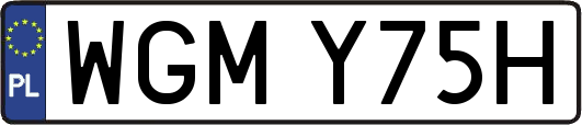 WGMY75H