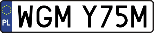 WGMY75M