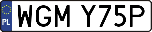 WGMY75P