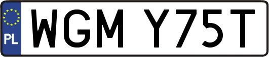 WGMY75T