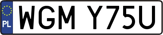 WGMY75U