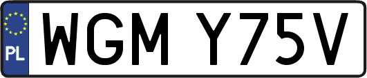 WGMY75V
